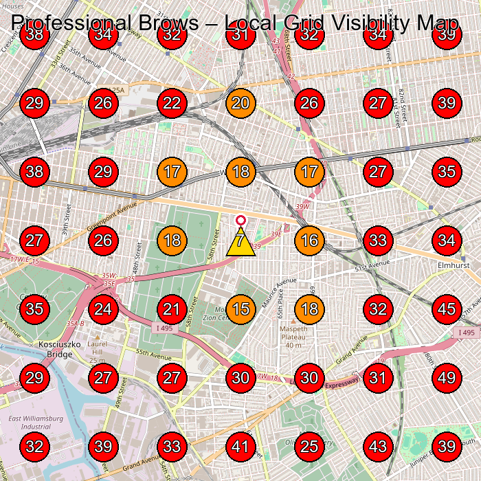 Professional Brows GeoGrid visibility map for Beauty Salon in Queens